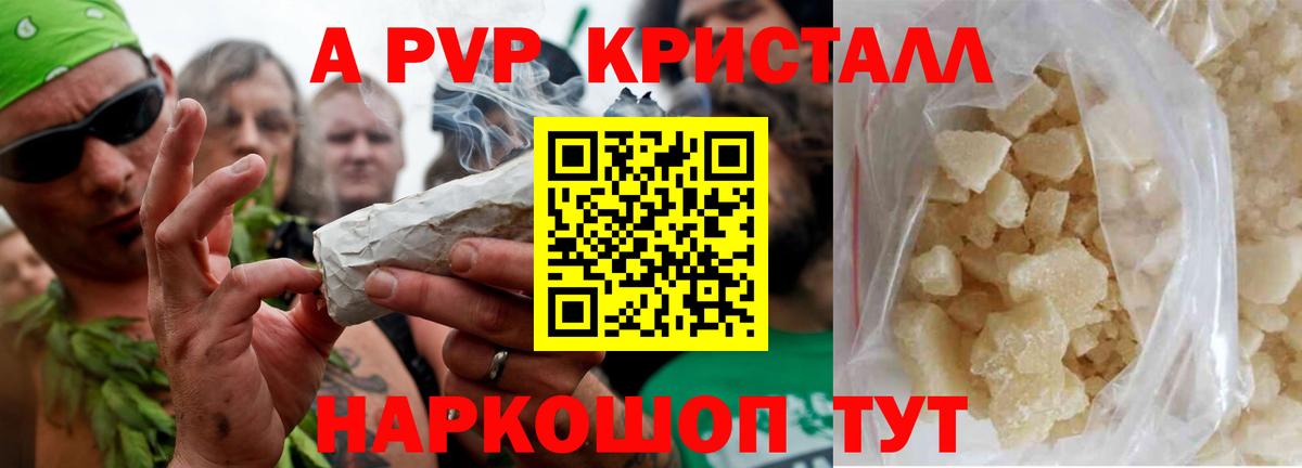 A PVP крисы CK Рубцовск