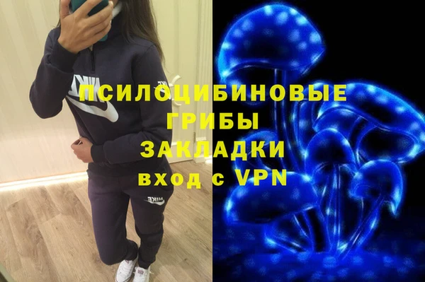 ешки Алексин