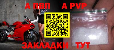 a pvp Кингисепп