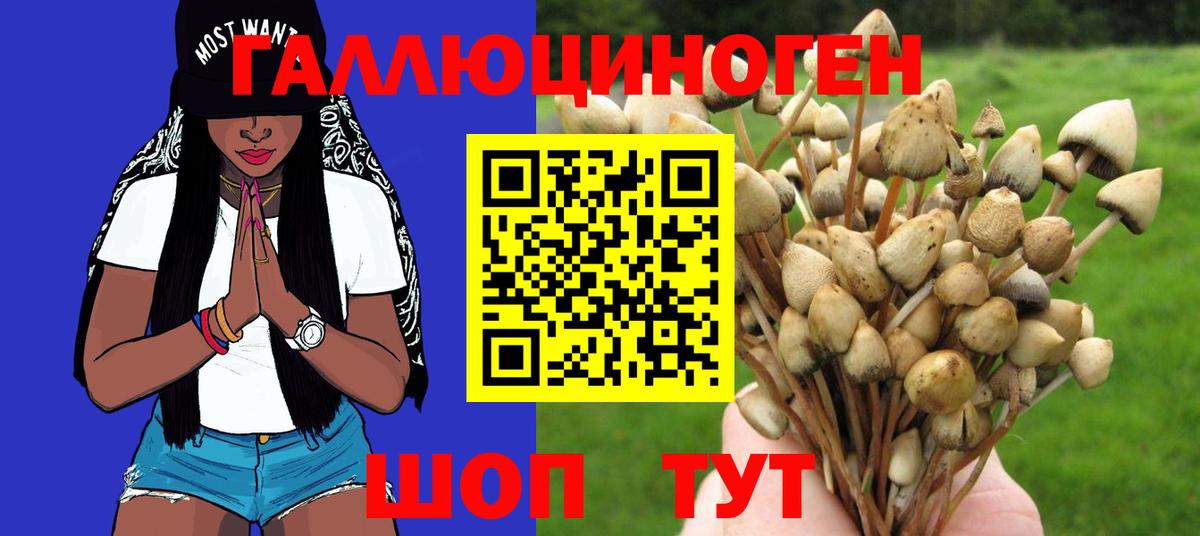 Рубцовск  Псилоцибиновые грибы мицелий  Псилоцибиновые грибы Psilocybine cubensis  Вход с VPN 